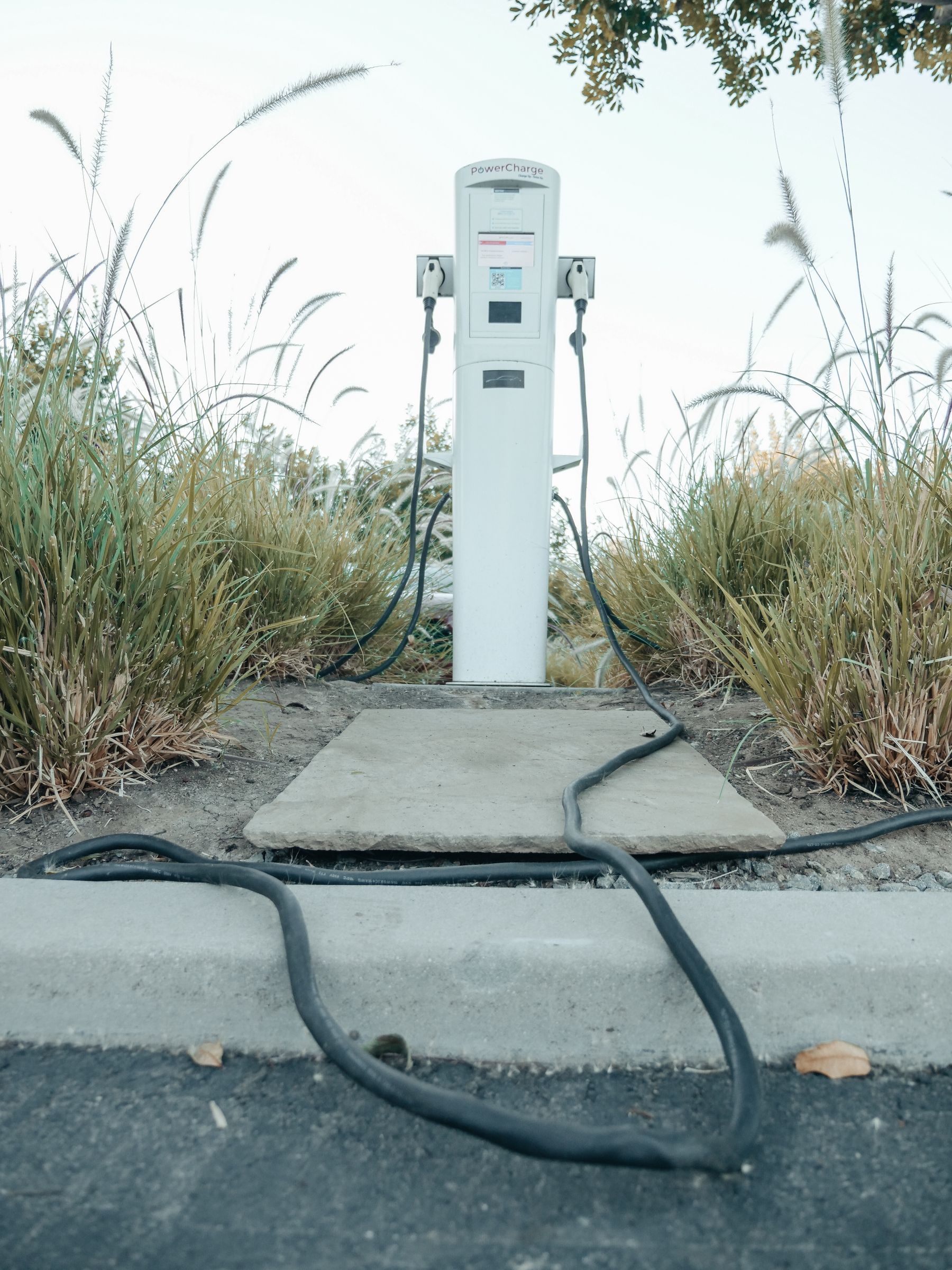 Real electric vehicle charging station surrounded by greenery